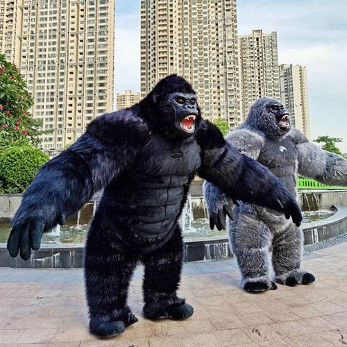 Giant gorilla king kong - gorilla,