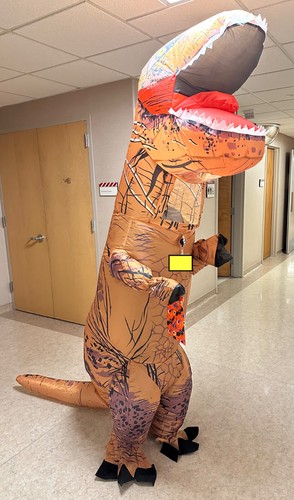 Rex dinosaur inflatable - t-rex,