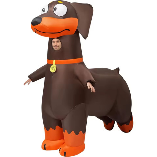 Adult dachshund dog - adult,
