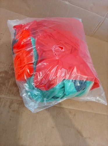 Inflatable dinosaur costume - dinosaur,