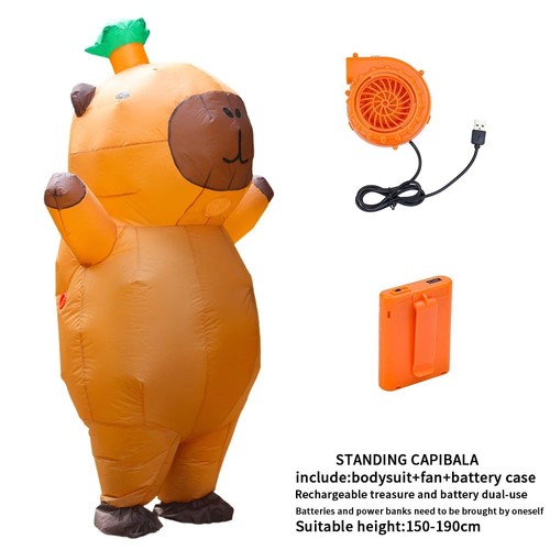 Adult inflatable costume - inflatable,
