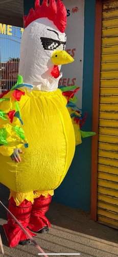 Inflatable chicken costume - chicken,