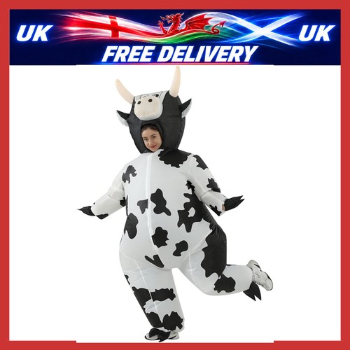 Inflatable costume fancy dress - fancy,